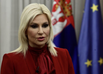 Mihajlović: Godišnje gubimo 250 miliona evra