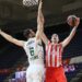 Radonjićeva Zvezda ponovo pobeđuje: Crveno-beli blistali u drami sa Panatinaikosom (FOTO/VIDEO)