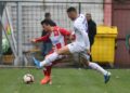 Gajić: Rastemo iz dana u dan