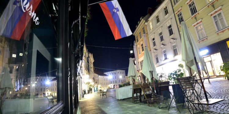 Cela Slovenija visokorizična zona zbog ptičjeg gripa