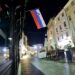 Cela Slovenija visokorizična zona zbog ptičjeg gripa