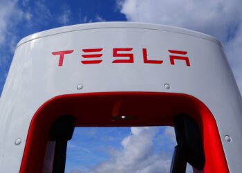Nemci presudili: Tesla mora da prestane sa sečom