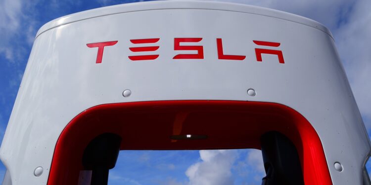 Nemci presudili: Tesla mora da prestane sa sečom