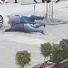 Polomili mu nogu na dva mesta, čovek zapomaže sa zemlje! (UZNEMIRUJUĆI VIDEO)