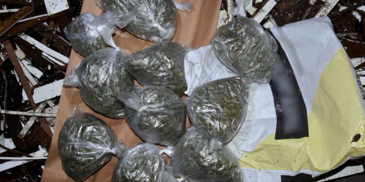 Uhapšen mladić u Kaluđerici, zaplenjena droga