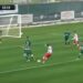 Zvezda razbila Poljake sa 4:0, briljirao Falćineli (VIDEO)