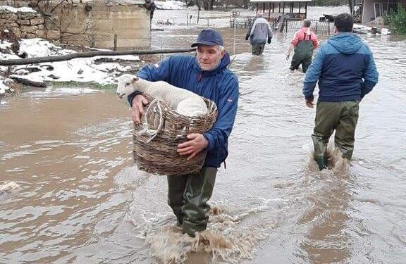 Štete od poplava u Dimitrovgradu nadoknadiće “Dunav osiguranje”