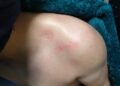 Prekomerna primena sile policije nad Srbima (VIDEO)