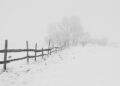 Cela Srbija pod meteo alarmom, u ovim krajevima upaljen je crveni