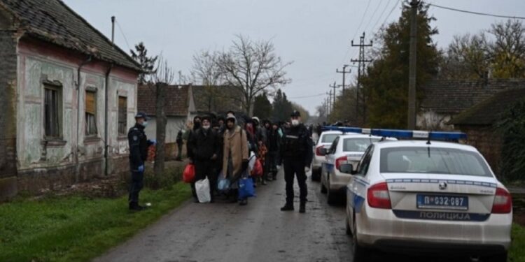 U Smederevu pronađen ilegalni kamp za migrante!
