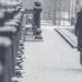 Jerusalim: Napadao sneg, zaustavljen gradski saobraćaj