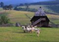 Da ožive srpska sela!