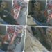 Pajserom obili vrata pa napunili torbe, policija ih u prodavnici zatekla sa dve krmače (FOTO)