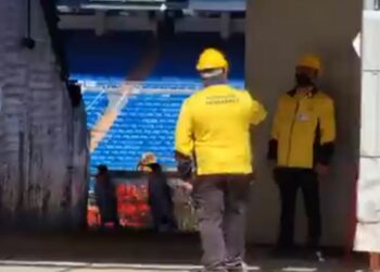 Španija u čudu: Dva pingvina šetaju na tribinama stadiona Reala! (VIDEO)