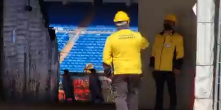 Španija u čudu: Dva pingvina šetaju na tribinama stadiona Reala! (VIDEO)