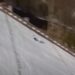 Užas u Sloveniji: Skakač pao na glavu, kotrljao se do cilja i ostao da leži bez svesti (VIDEO)