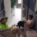 Nenad Aleksić Ša ponovo tugovao za suprugom Ivanom i otkrio da se plaši izlaska iz rijalitija (VIDEO)