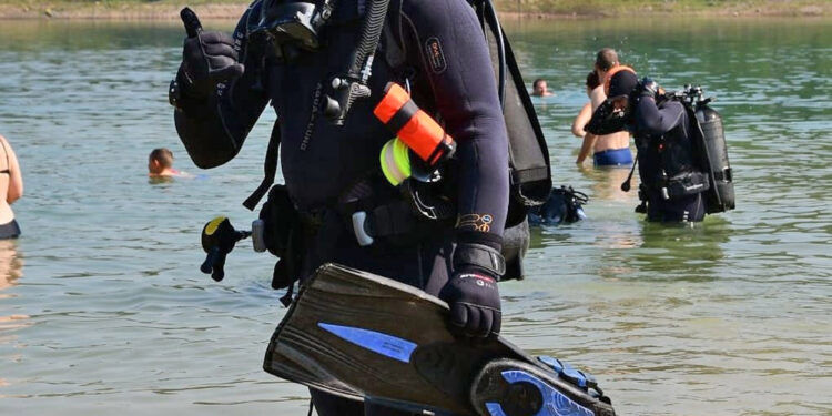 Druženje s ajkulama