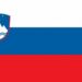 Slovenija: Uhapšen vozač kombija zbog šverca 33 migranata