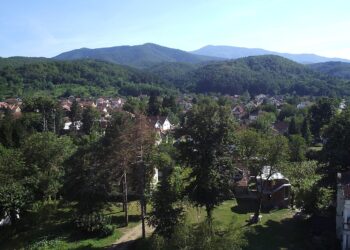 Ko je kupio “Matarušku i Bogutovačku banju”?