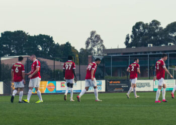 Orlovima penal sasekao krila