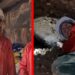 Novak do guše u vodi i blatu u tunelima Bosankih piramida: 5.000 godina ljudska noga tu nije kročila (VIDEO)