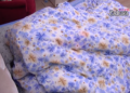 Maja Marinković i Marko Janjušević vrelom akcijom zaljuljali krevet u rehabu (VIDEO 18+)