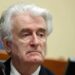 Karadžić pisao Putinu da ga izbavi iz britanskog zatvora
