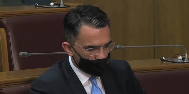 Skupština Crne Gore danas o opozivu Leposavića zbog Srebrenice