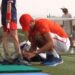 Očinska ljubav u jednoj slici: Nole vezuje pertle svom nasledniku (VIDEO)
