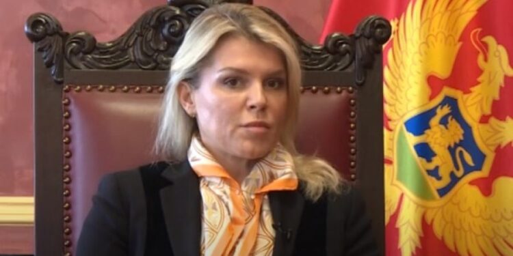Crnogorska poslanica: U Beogradu me tretirali kao kriminalca