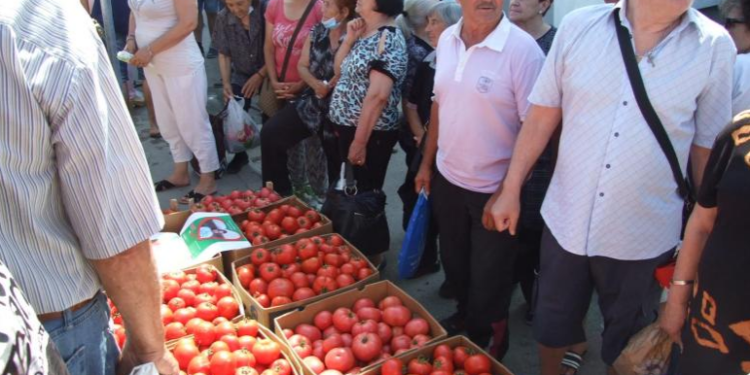 Leskovčani besplatno delili paradajz zbog niske prodajne cene
