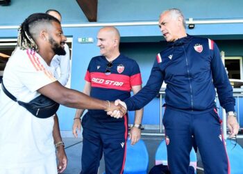 Zvezda zvanično dovela napadača iz Francuske