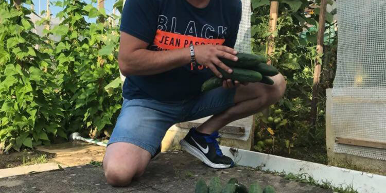 Bašta kao terapija