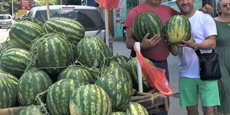 Svuda pođi, u otadžbinu dođi