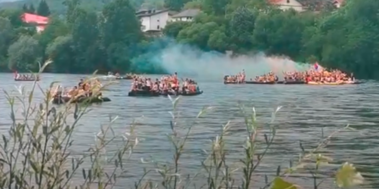 Žurka na Drini