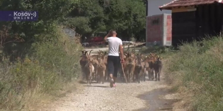 Zebnja među Srbima u Zebincu: U velikom smo strahu, ne znamo kako ćemo dalje