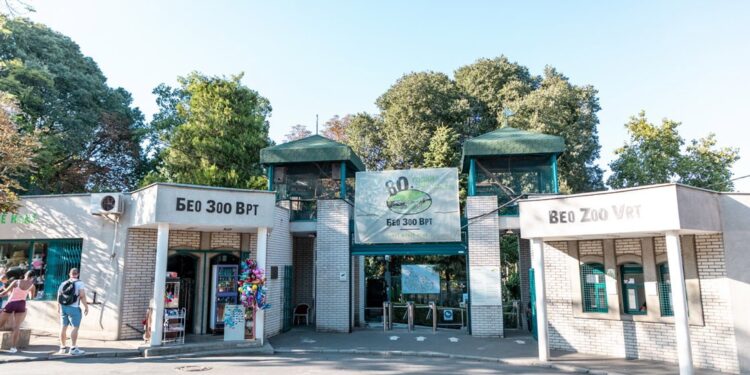 Jubilej Beo zoo-vrta (1): Dobra nada jača i od bombi