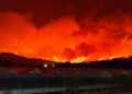 Živa izgorela kako bi njih zaštitila od vatre (UZNEMIRUJUĆI FOTO)