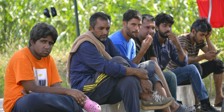 Migranti odbijaju da se vakcinišu