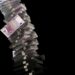 Koliko Srbija ima milionera i šta oni rade?