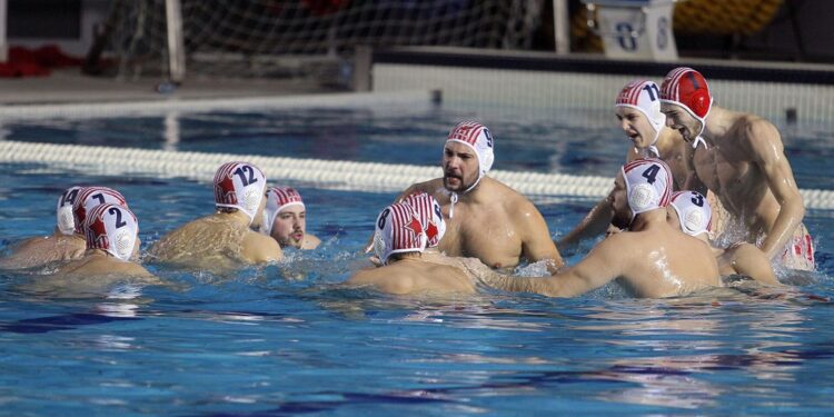 Velika pobeda Crvene zvezde, Liga šampiona na dohvat ruke