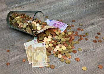 Zvanični srednji kurs iznosi 117,56 dinara