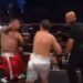 Bugarski Kobra za 2 minuta nokautirao Mira, sudija sprečio boks katastrofu (VIDEO)