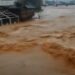 Kolaps u Sarajevu: Miljacka nosi sve pred sobom (VIDEO)