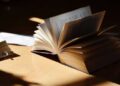 Biblioteka Bate Stojkovića dostupna javnosti