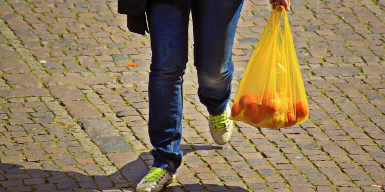 Hrvatska od januara ukida plastične kese koje se najviše koriste
