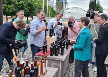 Od vinograda može da se živi