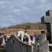 Majke Srebrenice ubijale u Kravici