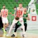 Zvezda posle totalne drame dobila meč u Ljubljani, Cedevita Olimpija promašila šut za pobedu